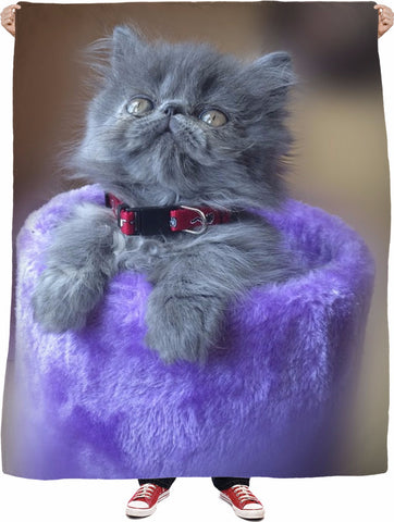 Silver Fluff  Blanket