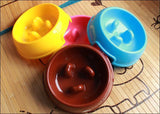 Anti Choke Cat Feeding Bowl
